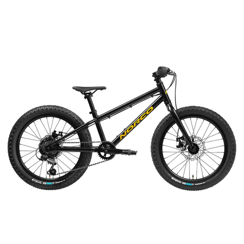 NORCO STORM 20 DISC Kids