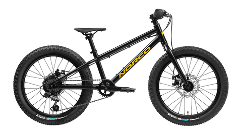 NORCO STORM 20 DISC Kids