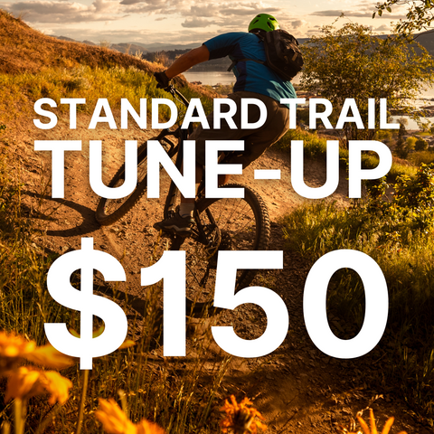 Affordable Mountain Bike Tune-Ups