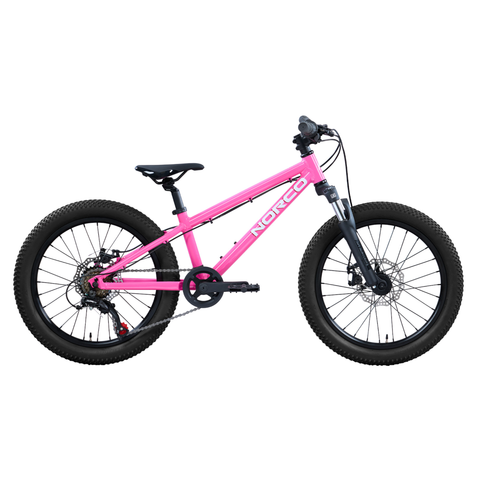 Norco Storm S20