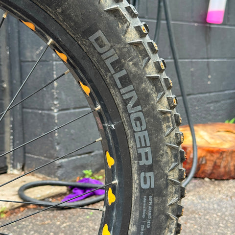 Northrock Fat Bike (Pre-Owned)