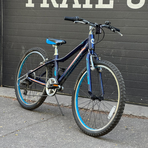Liv Enchant 24" (Pre-Owned)